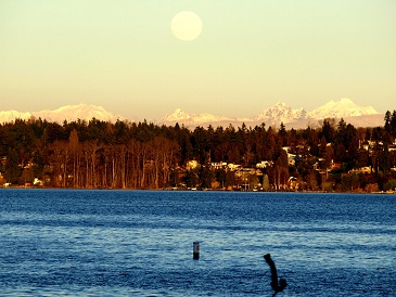 SeattleWinter