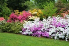 UW Arboretum 2014