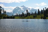 Mt Baker